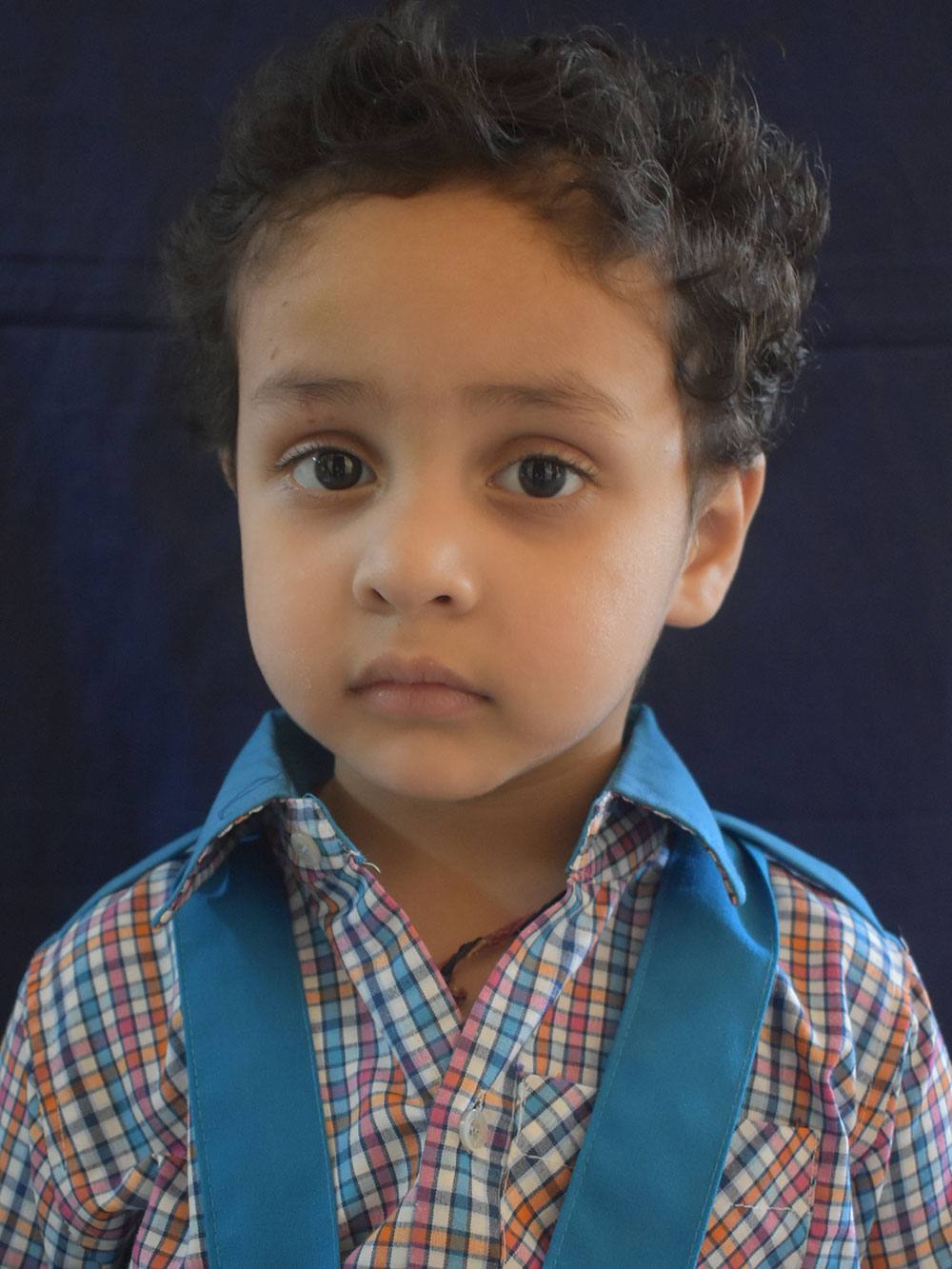 SYED MOHAMMAD HUSSAIN MEHDI